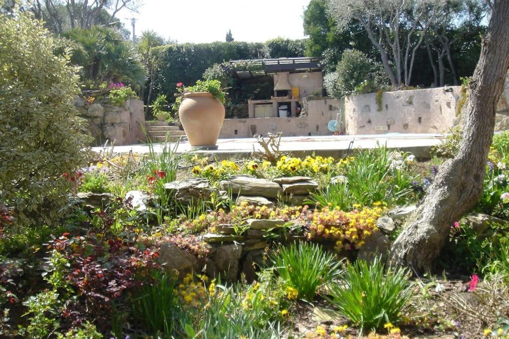 Villa D'exception Avec Piscine , Au Bord De La Mer *